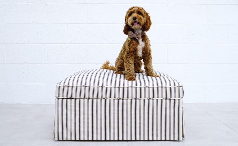 Hyde Dog Bed - Lift Up Box Ottoman